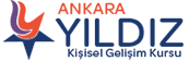 ankara yıldız logo